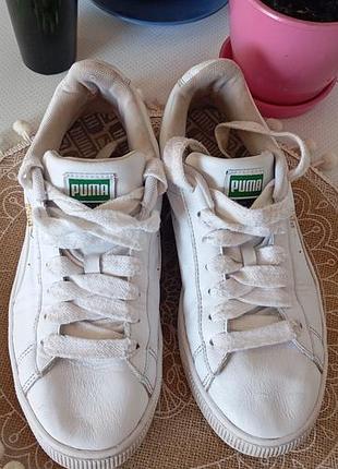 Кроссовки унисекс puma
