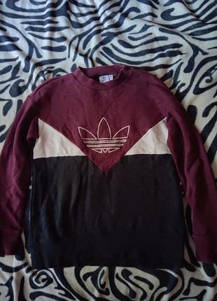 Світшот adidas