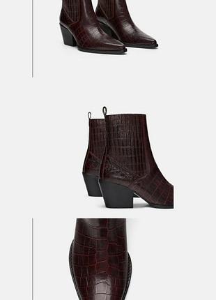 Жіночі ботильйони zara козаки бургунді шкіра 37 розмір