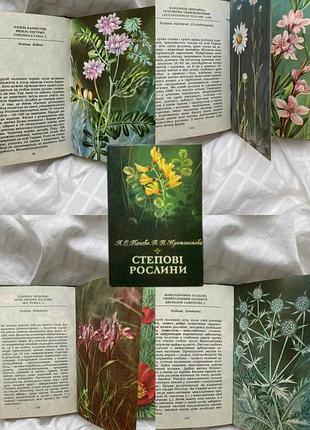 Книга квіти