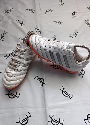 Бутсы adidas goletto