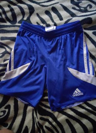 Шорти adidas