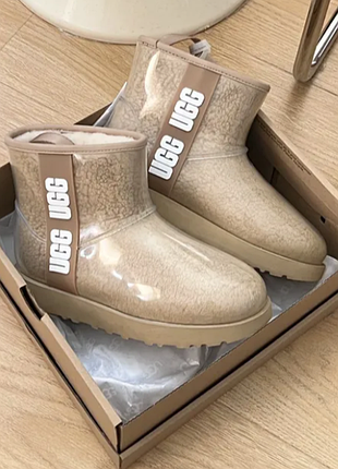 Жіночі уггі міні прозорі силіконові шоколадний ugg classic clear mini chocolate brown