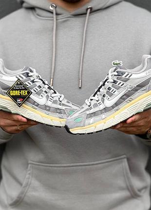 Термо кросівки nike p-6000 8