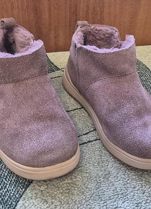 Темні пудрові ugg від zara розмір 28