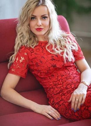 Яскраво-червона мереживна сукня схожа на сукні-футляри від бренду karen millen з характерним квітковим візерунком та короткими рукавам