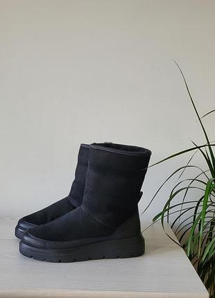 Чобітки уги шкіряні зимові оригінал ecco nouvelle 216263 рр.38,39
