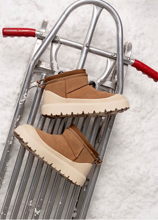 Жіночі уггі ультра міні гібрід коричневі замшеві ugg ci ultra mini weather hybrid chestnut white