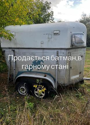 Контейнер-переноска сірий