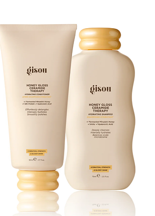 Набор шампунь &amp; кондиционер honey gloss hair wash duo gisou