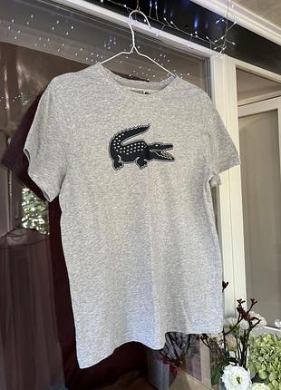 Жіноча / чоловіча футболка lacoste сіра розмір м
