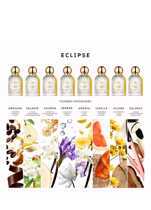 Discovery set bibliotheque de parfum eclipse collection 6