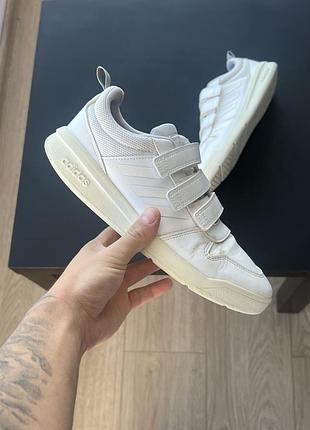 Кросівки adidas
