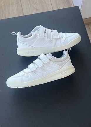 Кросівки adidas 3