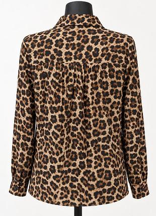 Блуза леопардова h&m, l-xl 3