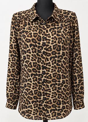 Блуза леопардова h&m, l-xl 4