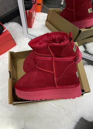Червоні ugg❤️ 4