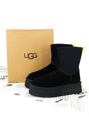 Жіночі уггі ugg dipper boots black | 37–40