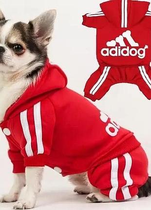 Одяг для домашніх тварин adidog комбінезон для собак