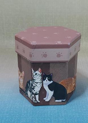 Коробка шкатулка декор с котятами