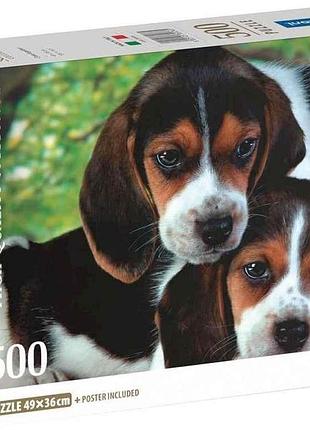 Пазли 500ел. коллекция высокого качества щенки вместе тм clementoni