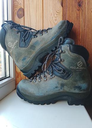 Трекинговые ботинки scarpa