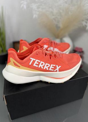 Кросівки adidas terrex