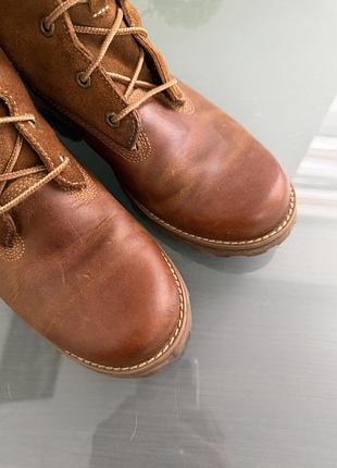 Черевики timberland 6