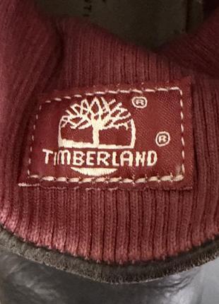Черевики timberland 5
