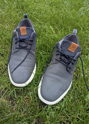Кросівки чоловічі hush puppies advanced nubuck сині 45 розмір