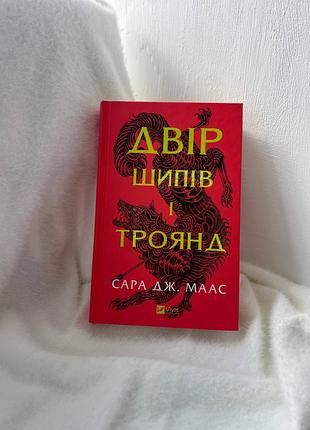 Двор шипов и роз (книга 1)