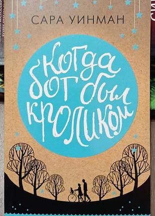 Уинман с.	когда бог был кроликом 		the big book (мягк/обл.) международный бестселлер