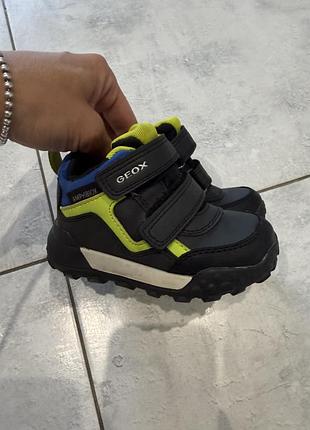 Черевики демісезонні geox 22 р