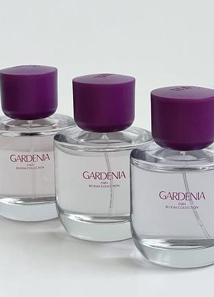 Gardenia zara