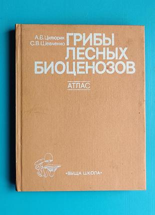 Грибы лесных биоценозов