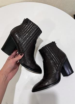 Жіночі чоботи zara бургунді