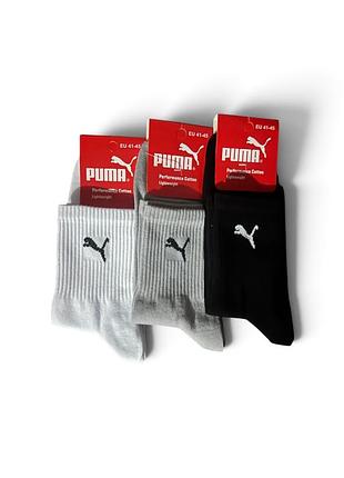 Шкарпетки чоловічі puma середні 40-45, чорний, сірий