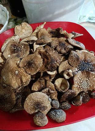 Сушені гриби 🍄‍🟫