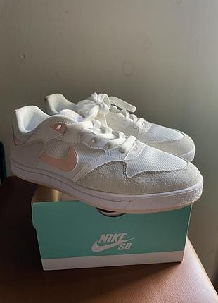 Nike sb. 38