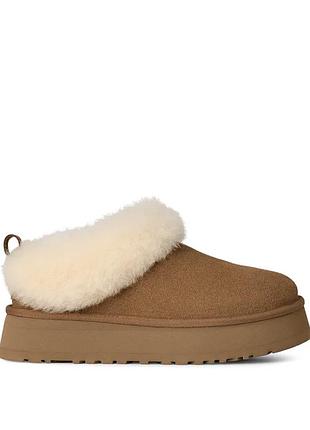 Ugg tazelle platform chestnut premium