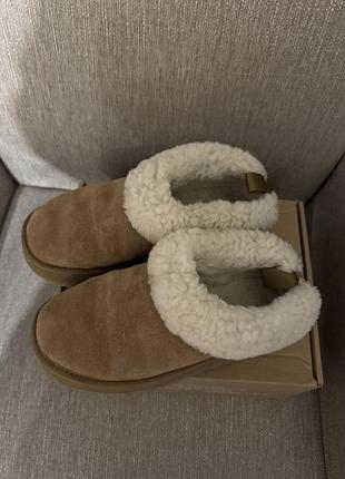 Ugg tazelle platform chestnut premium 5