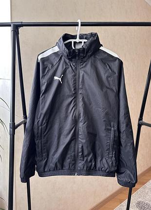 Вітровка puma 9-10 років 134 см