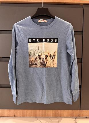 H&m лонгслів з бульдогами  бульдог для хлопчика 10-12 років 146-152 см