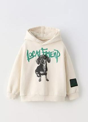 Худи от бренда zara 110