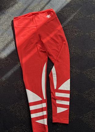 Жіночі лосіни adidas для тренувань, червоні, з принтом, розмір от-32, об-44, довжина-92