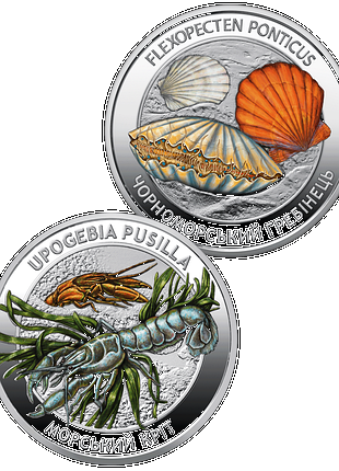 Мешканці морських глибин 2026 та 2025 рік нбу