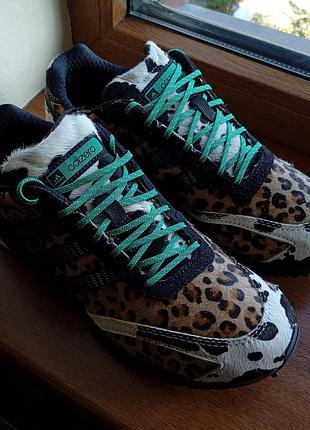 Кросівки adidas originals adizero adios og з леопардовим принтом jr6023 оригінал нові р. 40
