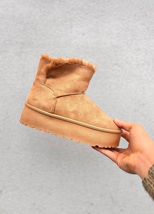 Зимові жіночі уггі light brown