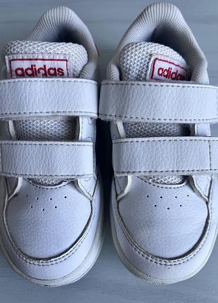 Кросівки adidas 6