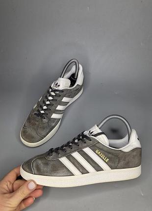 Замшевые кроссовки adidas originals gazelle
